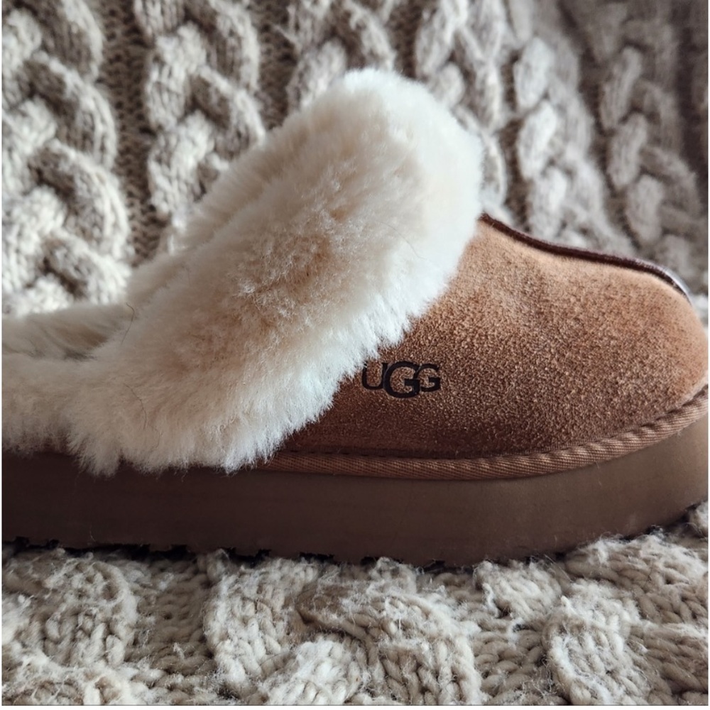 Ugg Disquette